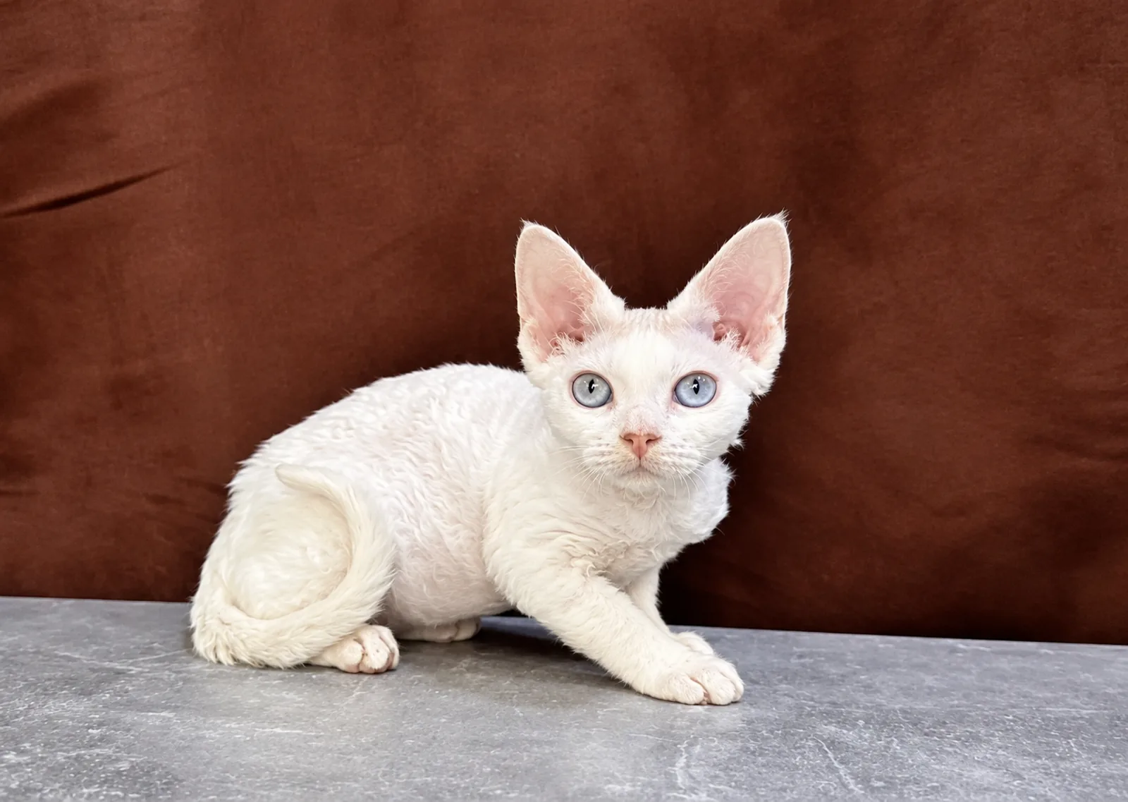Casper