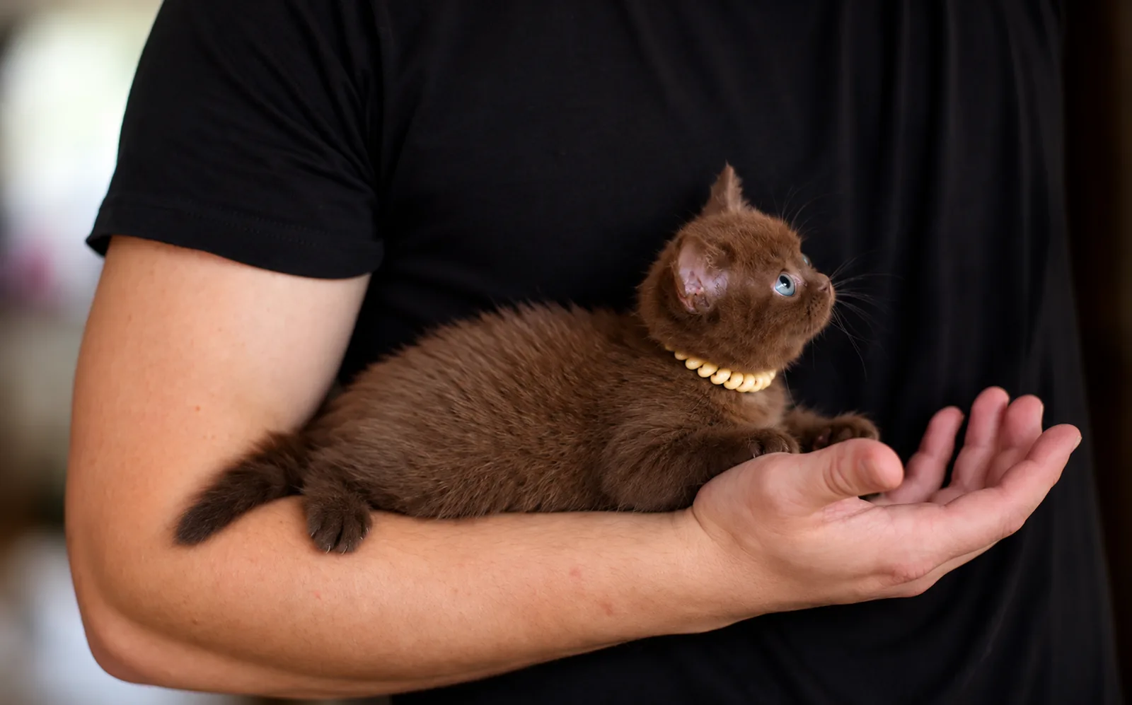 Hugo