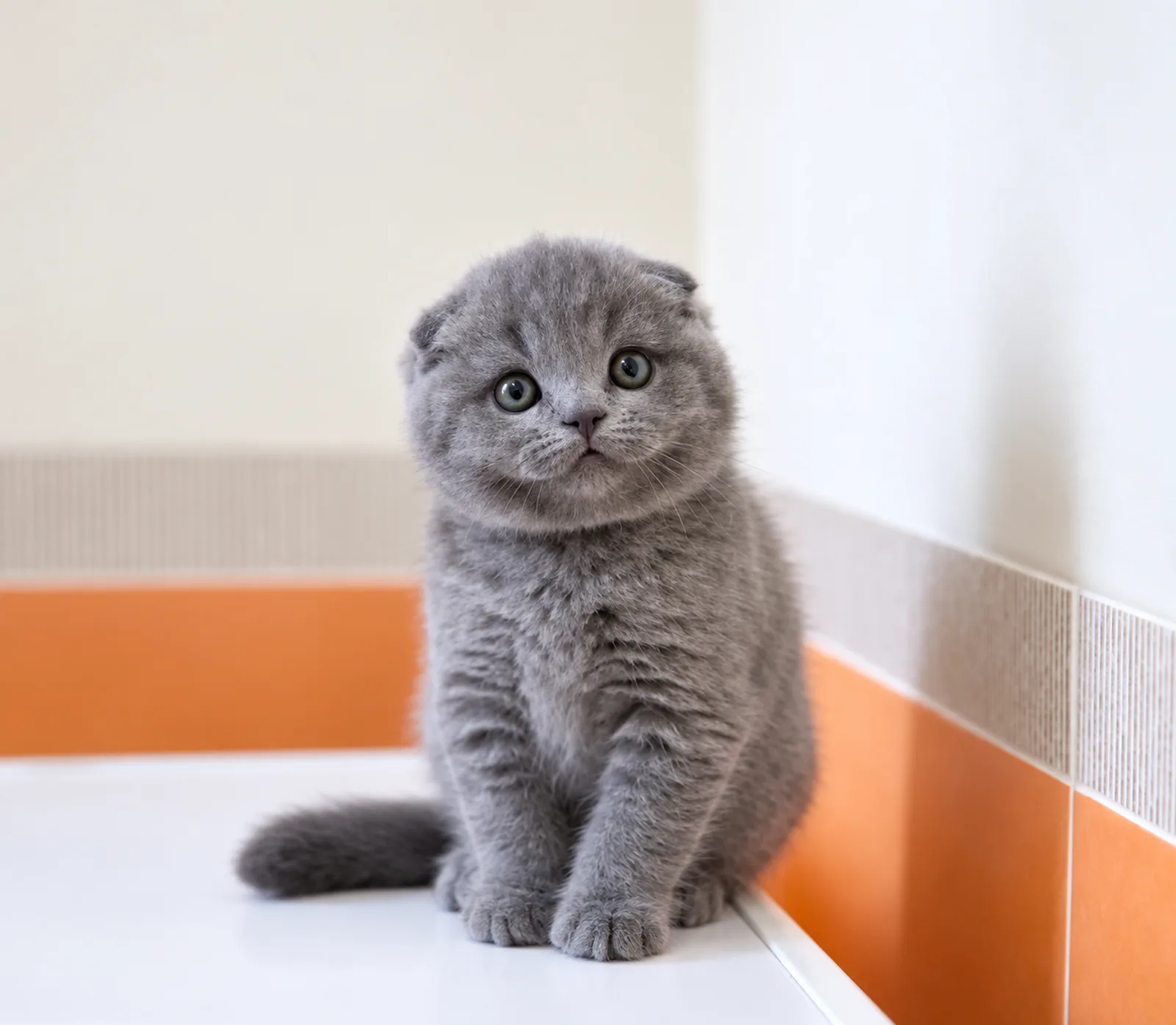 Oliver