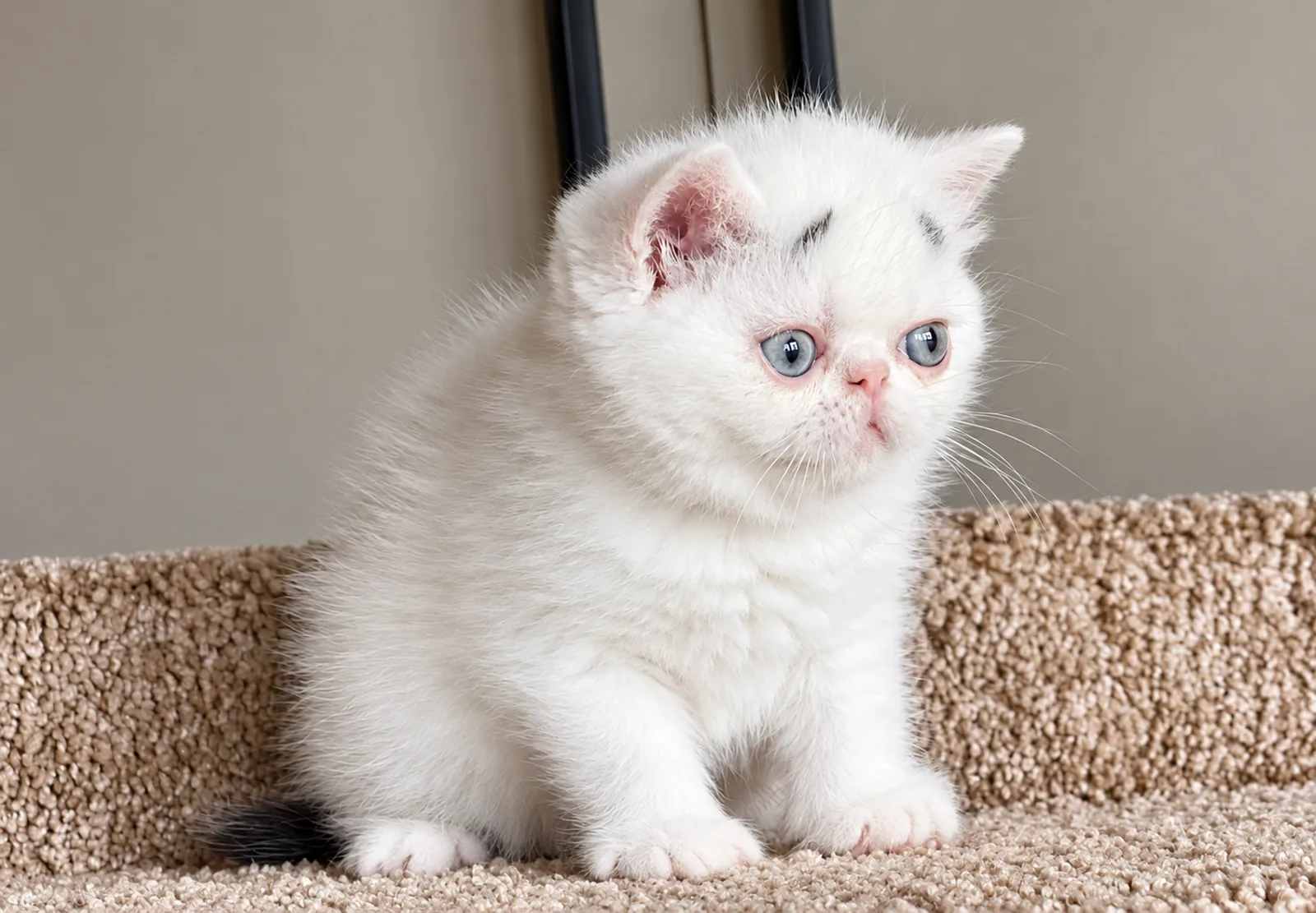 Pearl